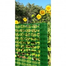 15501 - landscape barrier green - in-situ